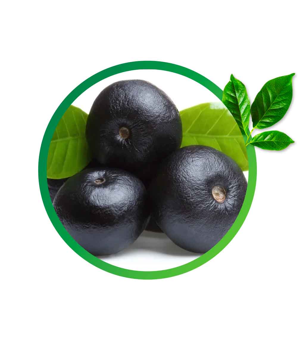 acai1
