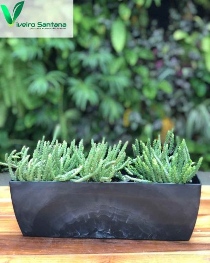 CACHEPO ELEGANCE JARDINEIRA 01 PRETO ONIX