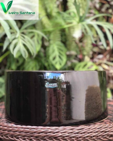 VASO L FLORALIS PRETO G