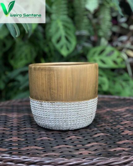 VASO MADEIRA PT 12
