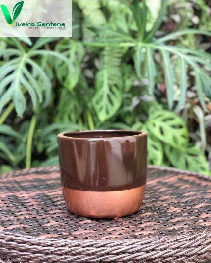 VASO TABACO/BRONZE PT 12