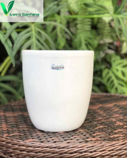 VASO ORQ BRACO PT 18